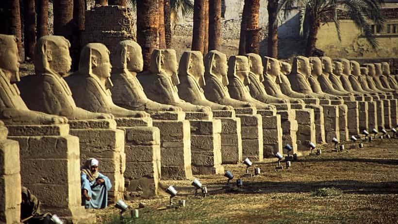 A line of stone sphynxes.