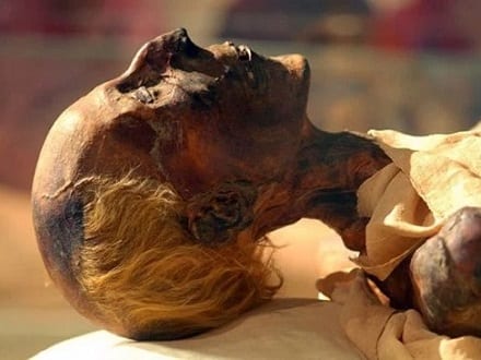 Head of a mummy.