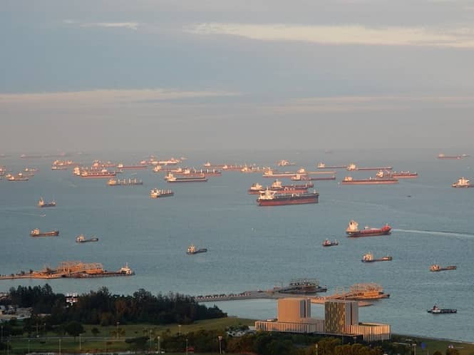 A harbour with dozens of ships.