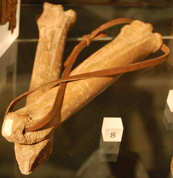 Two bone skates with a leather strap