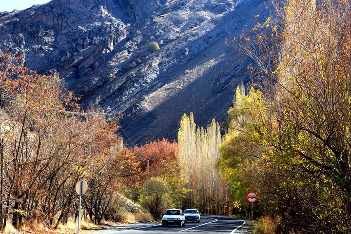 A serene panoramic picture of a road with cars, in Autumn. The road is flanked by yellow and red-leafed trees. There are mountains in the background.