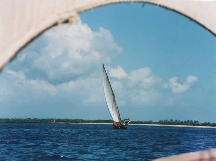 A sailboat sailing.