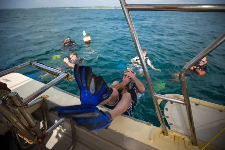 A group of scuba divers plunging into the sea.