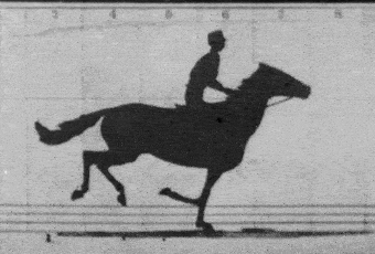 An animation which shows a horse running.