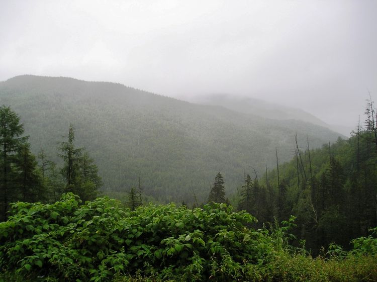 Photo of foggy mountains covered in dense vegetation.