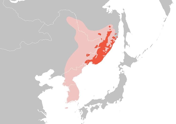 A map of eastern Asia. There are red spots on eastern Russia and eastern China.