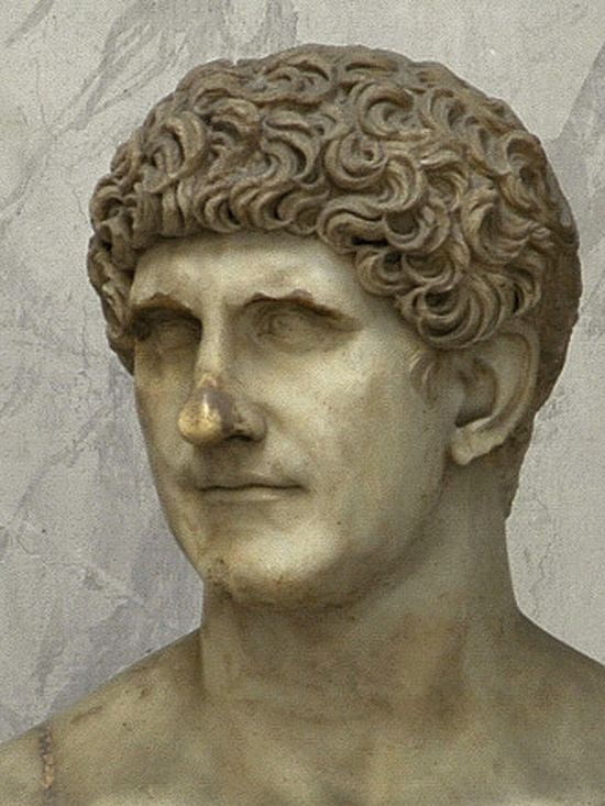A marble bust of a twenty something year old man. He has abundant curly hair, and similar features as the illustration, but they have been beautifued. The nose is straighter, the jaw is less protruding.
