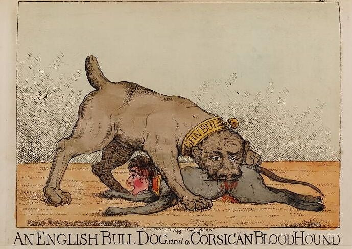 A cartoon. One dog bites and subdues another. The dog on top has a collar labeled John Bull. The dog in the bottom has Napoleon's face. Title: "An English Bull Dog and a Corsican Bloodhound."